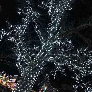 Meet your Posher, Moises